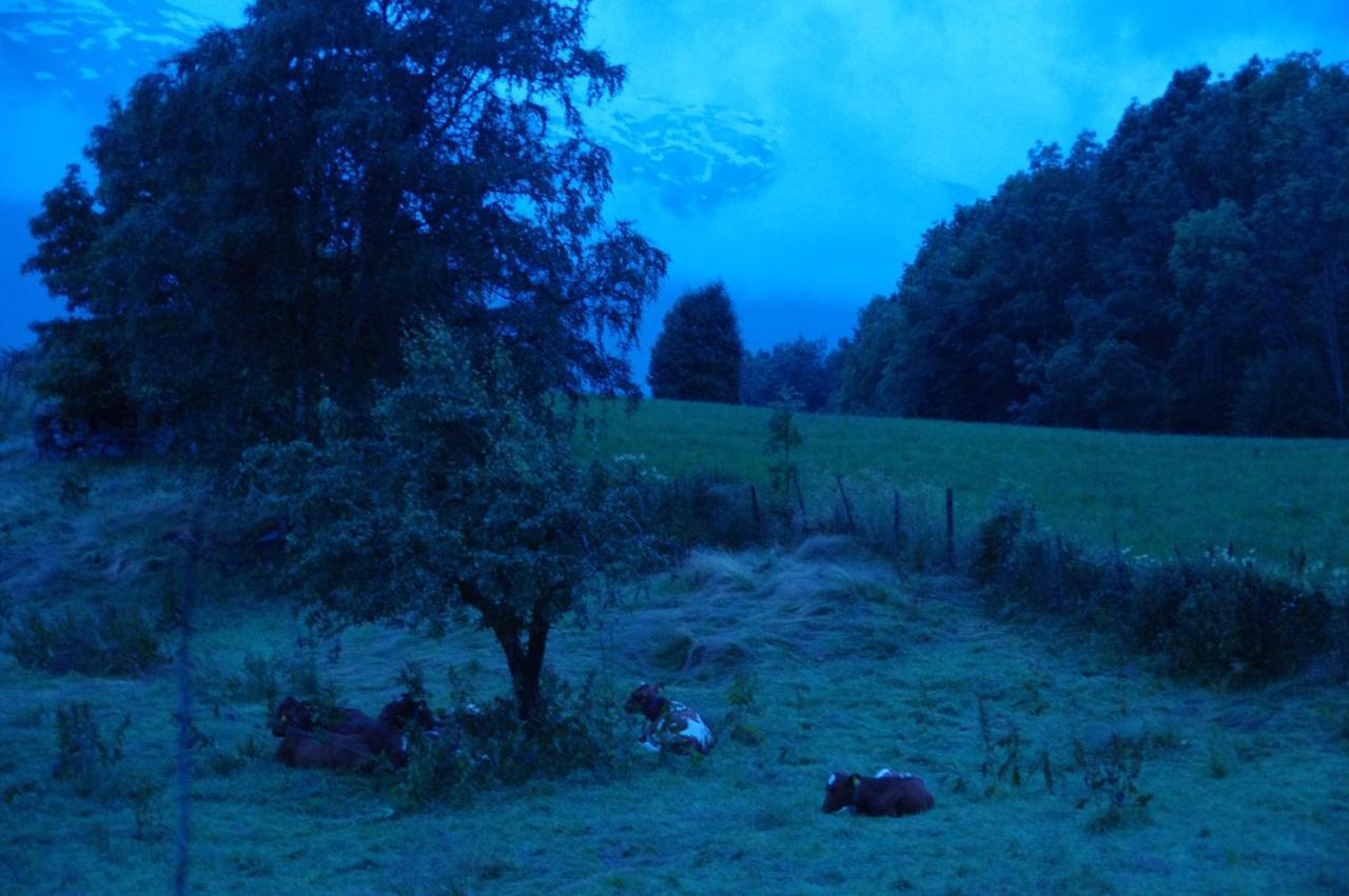 Orheimstunet - Gardsferie For Storfamilien Der Ogsa Hunden Er Velkommen Starheim Esterno foto